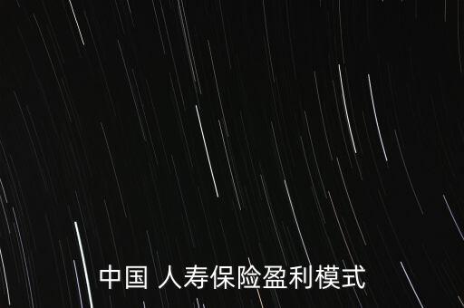 中國(guó) 人壽保險(xiǎn)盈利模式