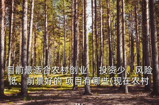 目前最適合農(nóng)村創(chuàng)業(yè)、 投資少、風(fēng)險(xiǎn)低、前景好的 項(xiàng)目有哪些(現(xiàn)在農(nóng)村...
