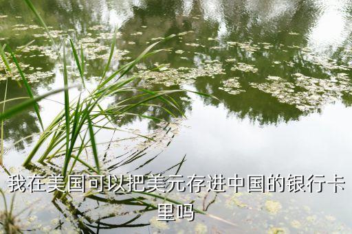 我在美國可以把美元存進(jìn)中國的銀行卡里嗎