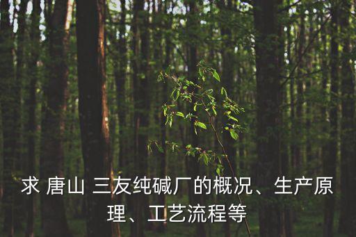 求 唐山 三友純堿廠的概況、生產(chǎn)原理、工藝流程等