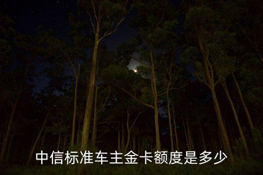 中信標(biāo)準(zhǔn)車(chē)主金卡額度是多少