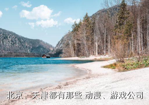 北京、天津都有那些 動(dòng)漫、游戲公司