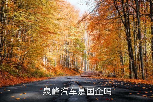 泉峰集團上市了嗎