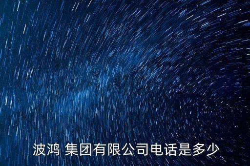 波鴻集團(tuán)董平