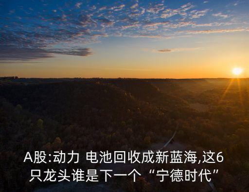 A股:動(dòng)力 電池回收成新藍(lán)海,這6只龍頭誰(shuí)是下一個(gè)“寧德時(shí)代”