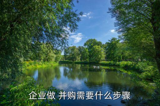 企業(yè)做 并購需要什么步驟