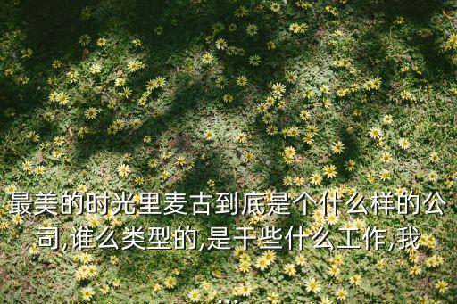 最美的時(shí)光里麥古到底是個(gè)什么樣的公司,誰么類型的,是干些什么工作,我...