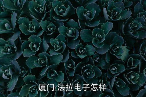 廈門 法拉電子怎樣