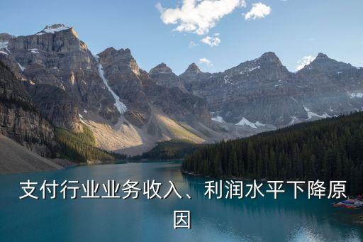  支付行業(yè)業(yè)務(wù)收入、利潤(rùn)水平下降原因