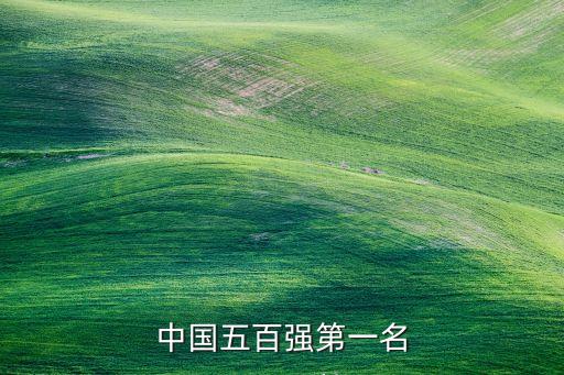 第一次中國(guó)企業(yè)500強(qiáng),最新中國(guó)企業(yè)500強(qiáng)名單