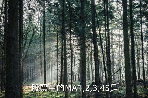  股票中的MA1,2,3,4S是