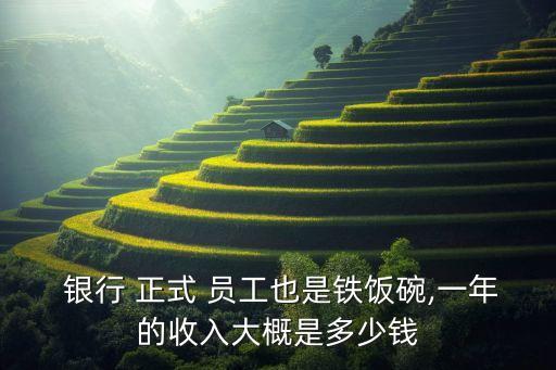  銀行 正式 員工也是鐵飯碗,一年的收入大概是多少錢(qián)