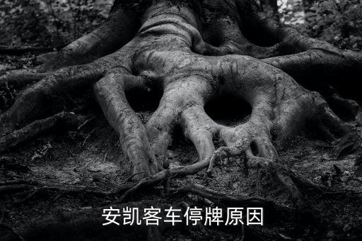  安凱客車停牌原因