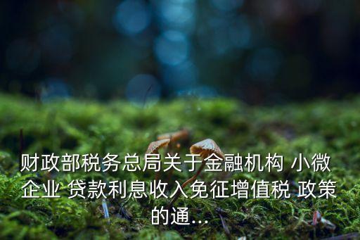 財(cái)政部稅務(wù)總局關(guān)于金融機(jī)構(gòu) 小微 企業(yè) 貸款利息收入免征增值稅 政策的通...