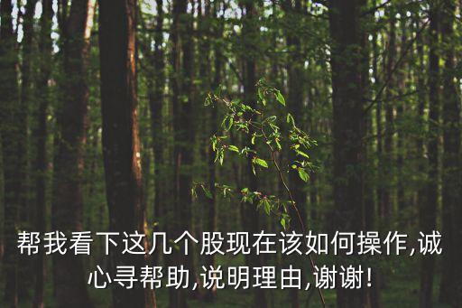 幫我看下這幾個股現(xiàn)在該如何操作,誠心尋幫助,說明理由,謝謝!