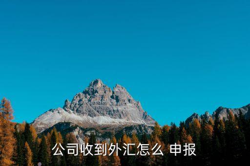 公司收到外匯怎么 申報(bào)