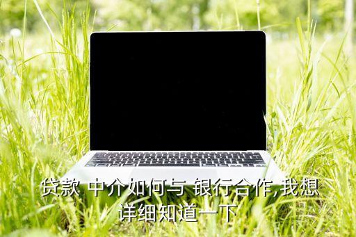  貸款 中介如何與 銀行合作,我想詳細(xì)知道一下