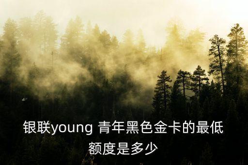 銀聯(lián)young 青年黑色金卡的最低額度是多少