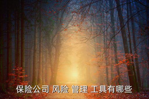 保險公司 風險 管理 工具有哪些