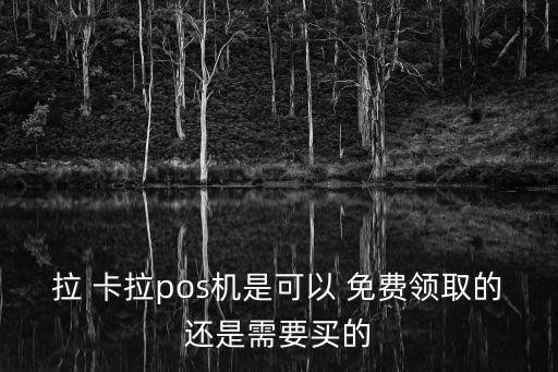什么銀行能免費領拉卡拉,現在什么銀行辦理ETC免費