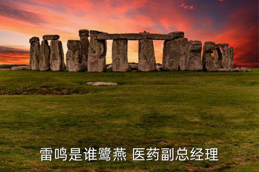 雷鳴是誰(shuí)鷺燕 醫(yī)藥副總經(jīng)理