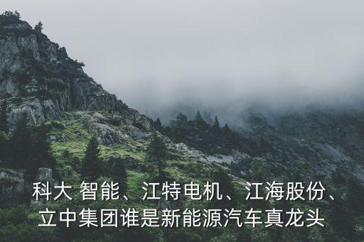  科大 智能、江特電機(jī)、江海股份、立中集團(tuán)誰(shuí)是新能源汽車真龍頭