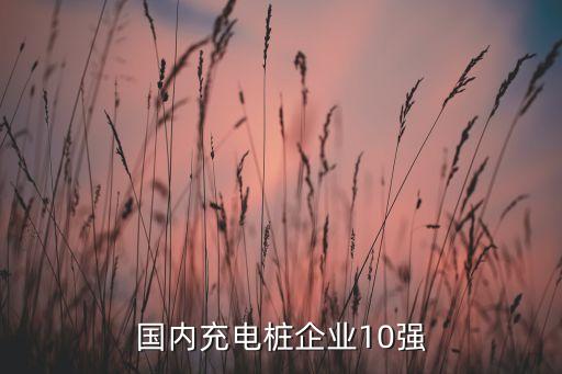 國內充電樁企業(yè)10強