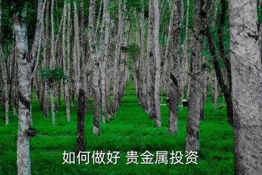 如何做好 貴金屬投資