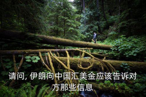 請(qǐng)問, 伊朗向中國匯美金應(yīng)該告訴對(duì)方那些信息