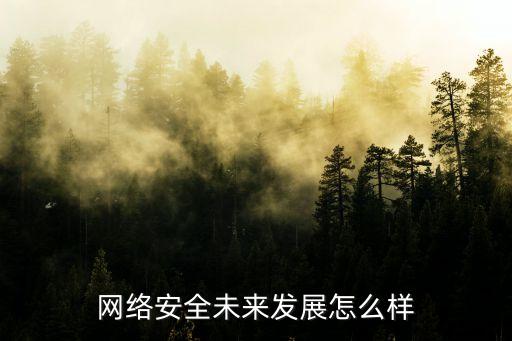 網(wǎng)絡安全未來發(fā)展怎么樣
