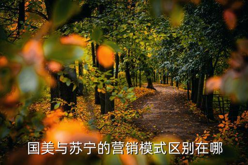  國(guó)美與蘇寧的營(yíng)銷(xiāo)模式區(qū)別在哪
