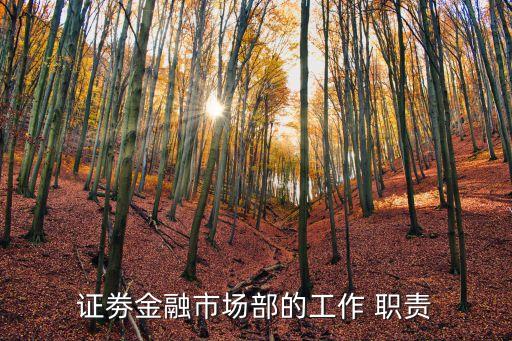證劵金融市場部的工作 職責