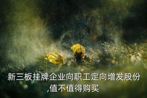  新三板掛牌企業(yè)向職工定向增發(fā)股份,值不值得購(gòu)買