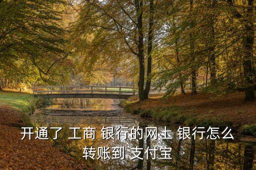 開(kāi)通了 工商 銀行的網(wǎng)上 銀行怎么轉(zhuǎn)賬到 支付寶