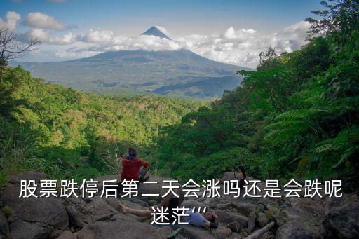  股票跌停后第二天會(huì)漲嗎還是會(huì)跌呢迷?！? class=