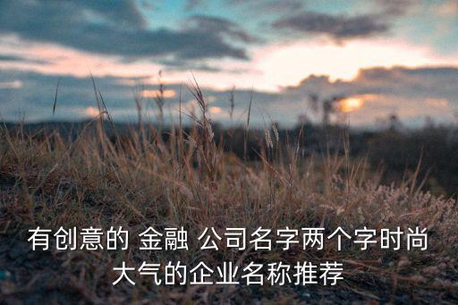 有創(chuàng)意的 金融 公司名字兩個字時尚大氣的企業(yè)名稱推薦