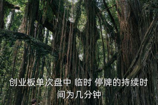 股票臨時(shí)停牌停多久,并購重組股票停牌一般停多久