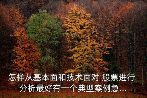 怎樣從基本面和技術(shù)面對 股票進(jìn)行 分析最好有一個典型案例急...