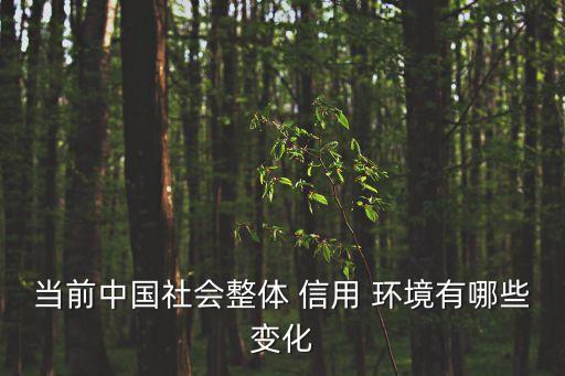 上海信用環(huán)境,如何營(yíng)造良好的信用環(huán)境