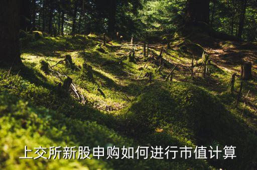 上交所新股申購如何進(jìn)行市值計(jì)算