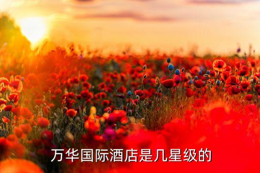  萬華國(guó)際酒店是幾星級(jí)的
