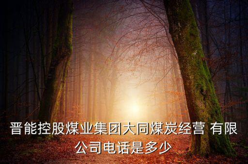 晉能控股煤業(yè)集團(tuán)大同煤炭經(jīng)營 有限公司電話是多少