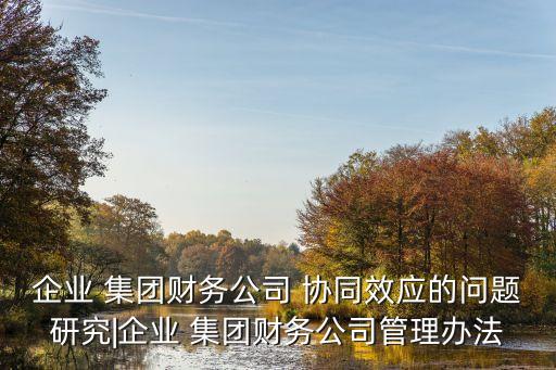 集團內(nèi)部協(xié)同發(fā)展的建議,內(nèi)部監(jiān)督貫通協(xié)同方面的建議
