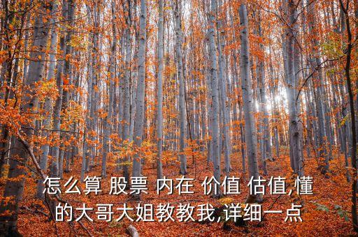 怎么算 股票 內在 價值 估值,懂的大哥大姐教教我,詳細一點