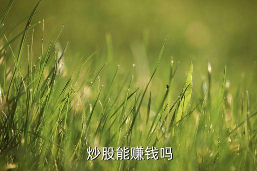  炒股能賺錢(qián)嗎