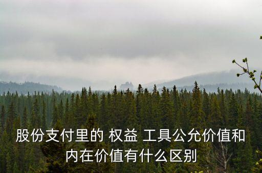 股份支付里的 權(quán)益 工具公允價(jià)值和內(nèi)在價(jià)值有什么區(qū)別