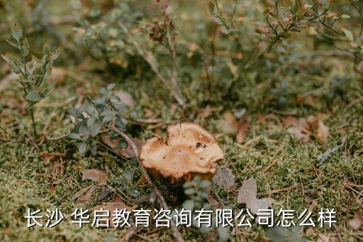 中國(guó)華啟控股,華啟控股股份有限公司