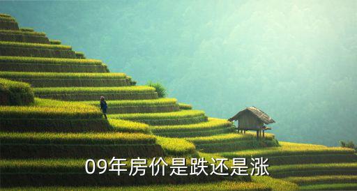 09年房?jī)r(jià)是跌還是漲