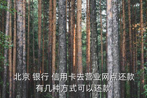  北京 銀行 信用卡去營(yíng)業(yè)網(wǎng)點(diǎn)還款有幾種方式可以還款