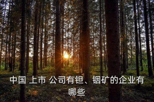中國 上市 公司有鉭、銦礦的企業(yè)有哪些